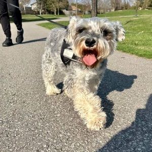 Meet your Posher, Donna